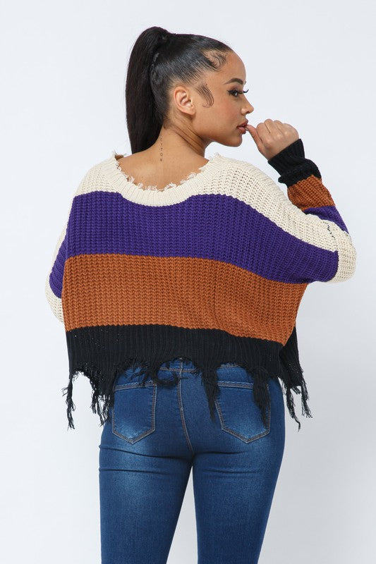 Color Block V Neck Knit Distressed Cozy Sweater Natural Purple