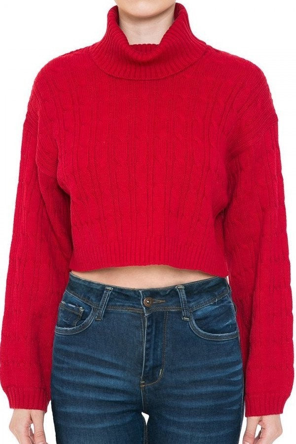 Turtle neck cable knit bell sleeve Crop Sweater RED Colour